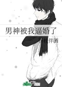 男神被我逼婚了
